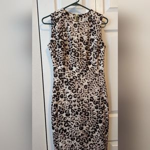 Animal print Calvin Klein